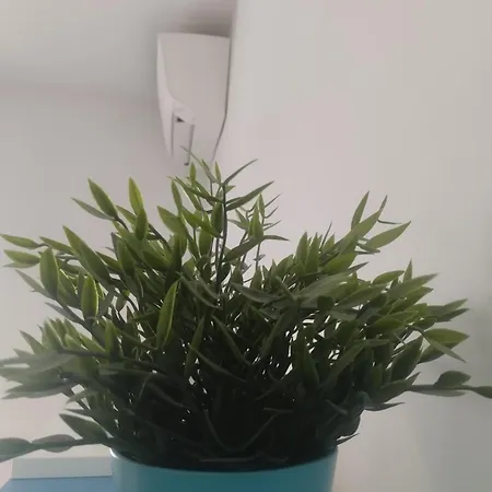 Ninfea Apartamento Pescara